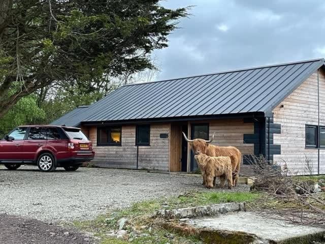 New Build Lodge With Stunning Views Of Loch Awe Hayfield  Esterno foto